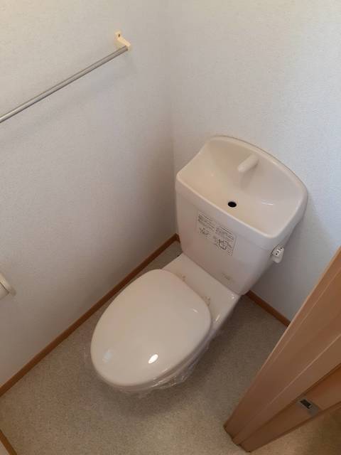 プラシドＣ その他2