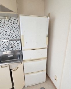 彩輝8A その他2