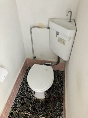 Ｊシーダ その他1