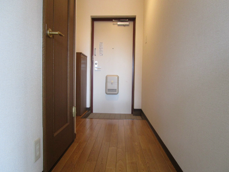 ＣＨＥＬＳＥＡ（チェルシー） その他15