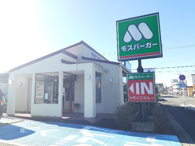 ファレノプシス　Ｂ その他外観6