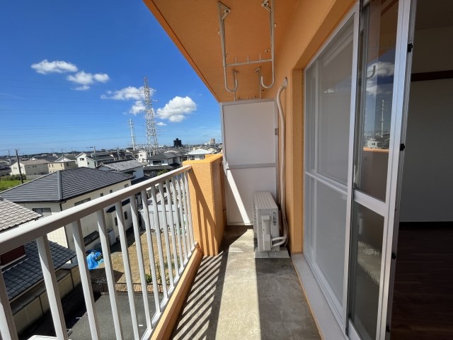 プロスパー初生 その他20