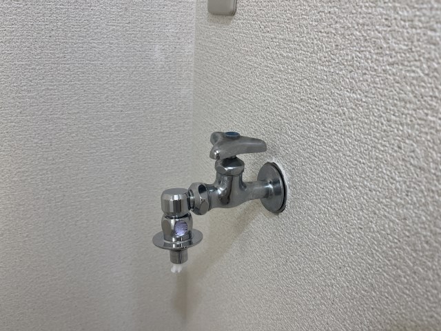 プロスパー初生 その他22