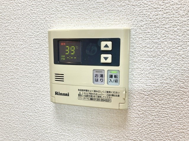 ブリアール その他6