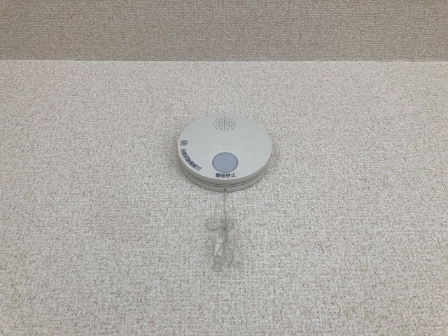 ラピスリーオ その他20