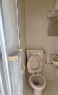 彩輝8B その他2