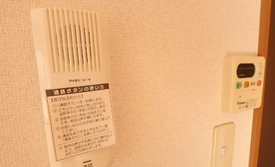 パラディース  その他2