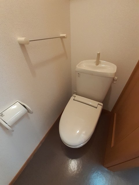 ファレノプシスＣ その他2