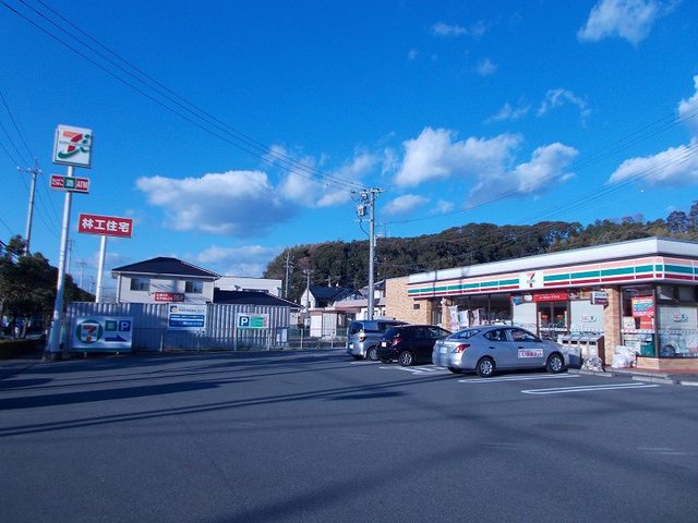 ファレノプシスＣ その他外観1