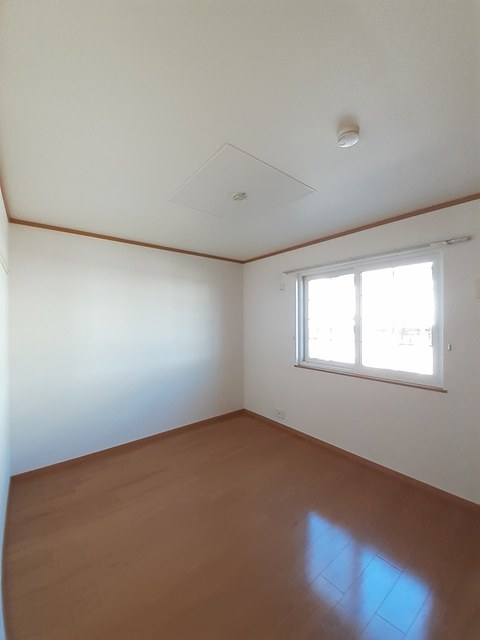 ファレノプシスＣ その他7