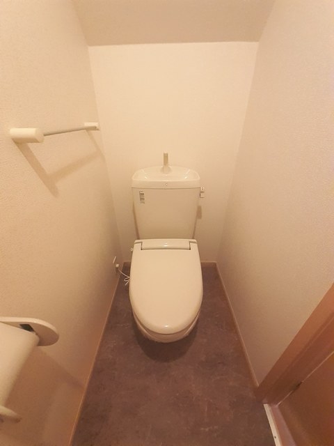 エクセレント　アベリア その他1