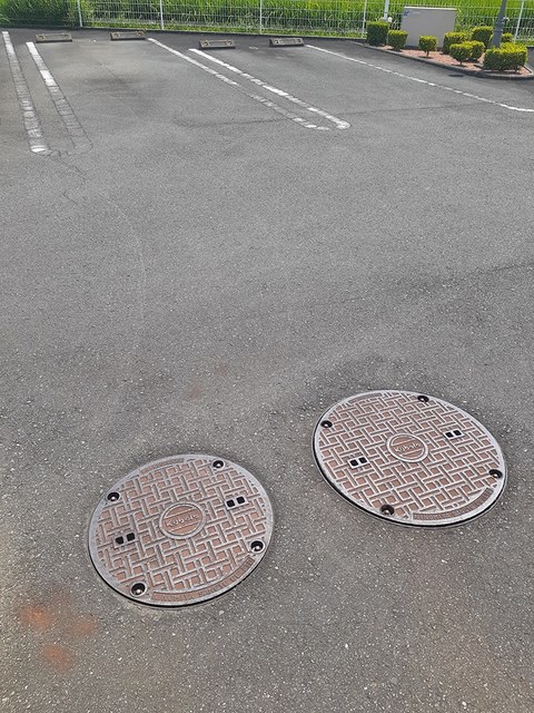 エクセレント　アベリア その他6