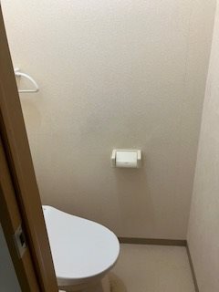 コンティキ その他1