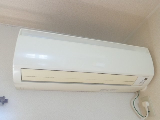 プチヴェール その他4
