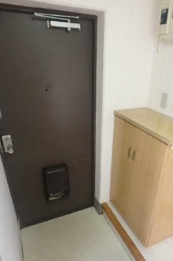 マンションＫＭ－１(マンションケーエムワン) 玄関