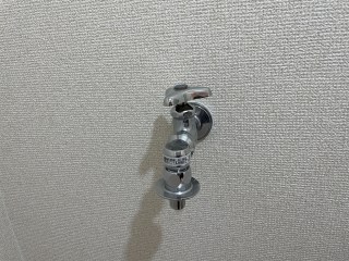 プロキオン その他20