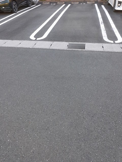 Ｓｔｒａｄｉ　Ｖａｒｉｕｓ その他5