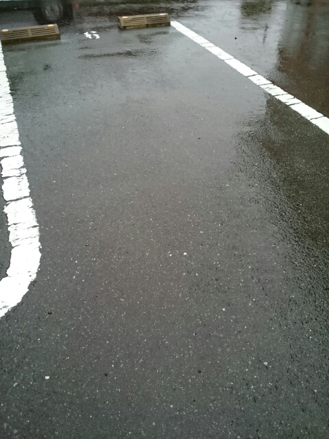 アイビー その他6