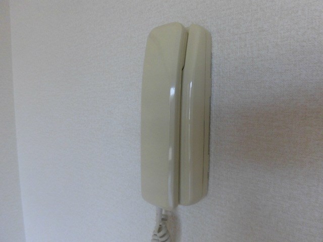 カズⅢ その他4