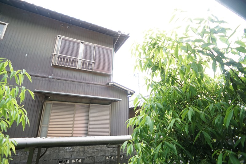 ウインディ・レイ その他4