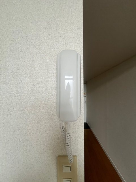 Beryl2 その他4