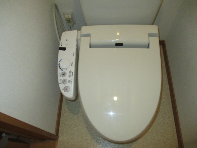オリーブ その他3