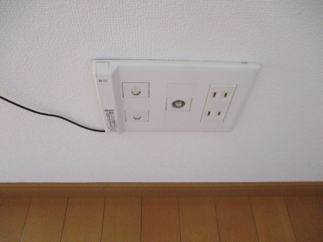 オリーブ その他26