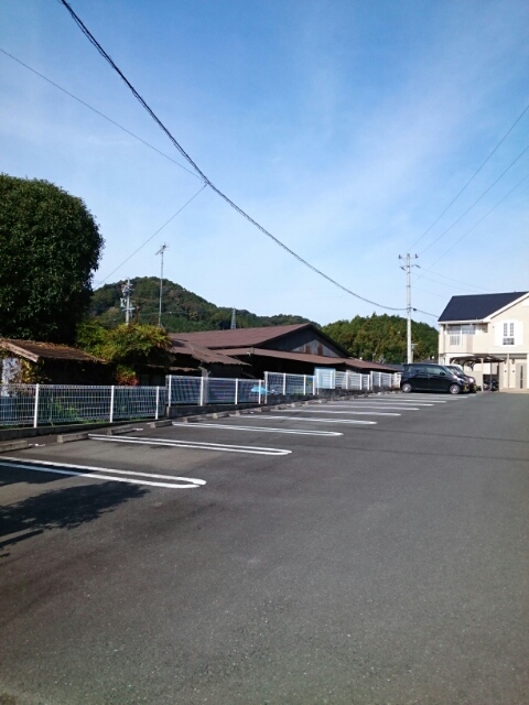 プラシドＢ その他5