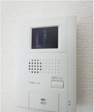 ラルーチェ セキュリティ