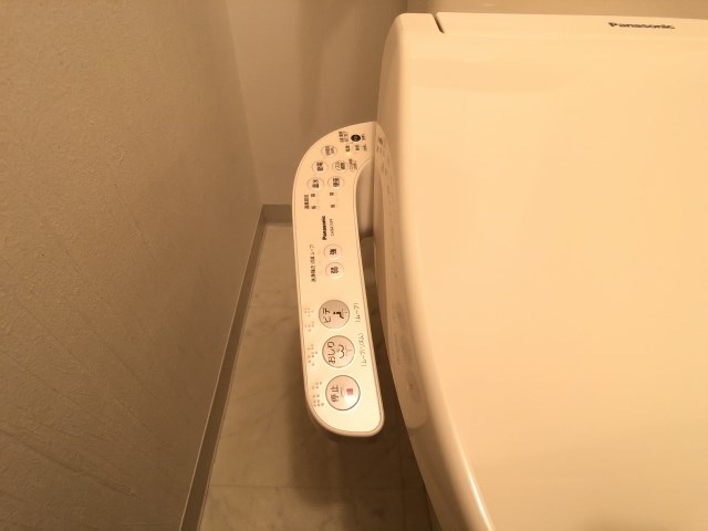ラ・ルーチェ愛(西棟) その他21