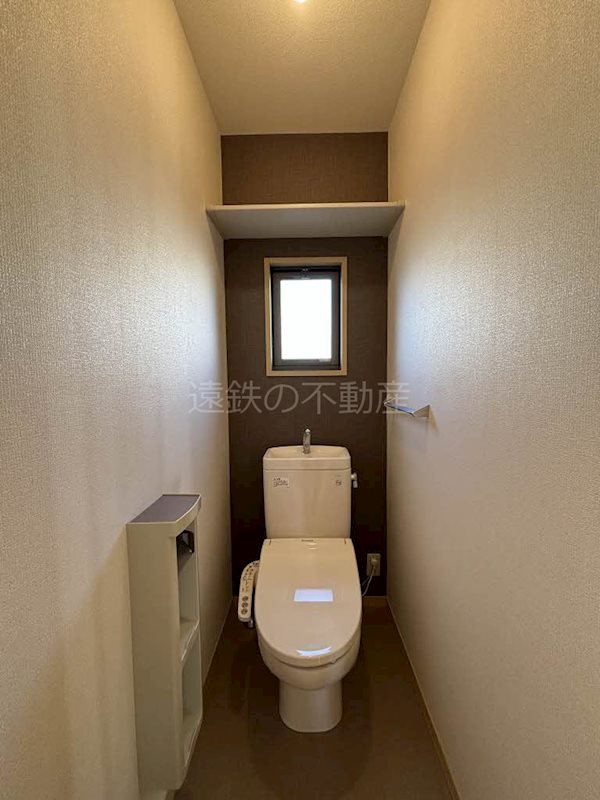 マナティー その他1