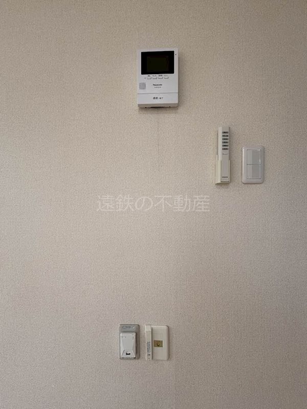 マナティー その他9