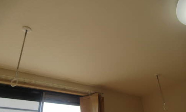 マナティー その他10