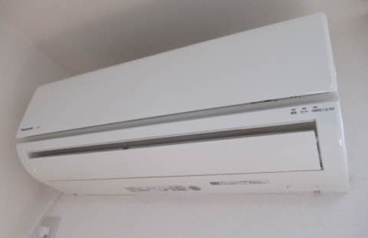 マナティー その他11