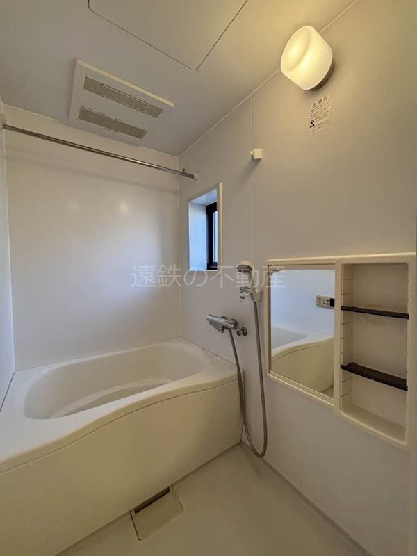 マナティー 風呂画像