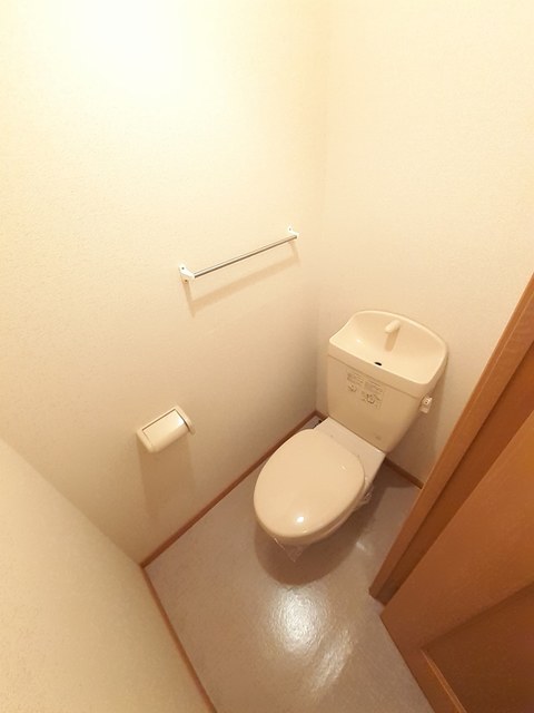 プラシドＡ その他1