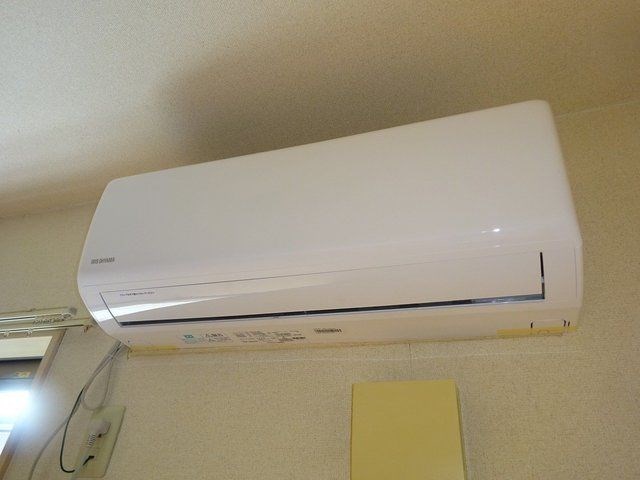 Ｙ&amp;rsquo;ｚハタゴ その他4