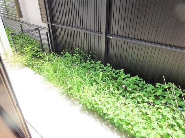 Ｙ&amp;rsquo;ｚハタゴ ベランダ