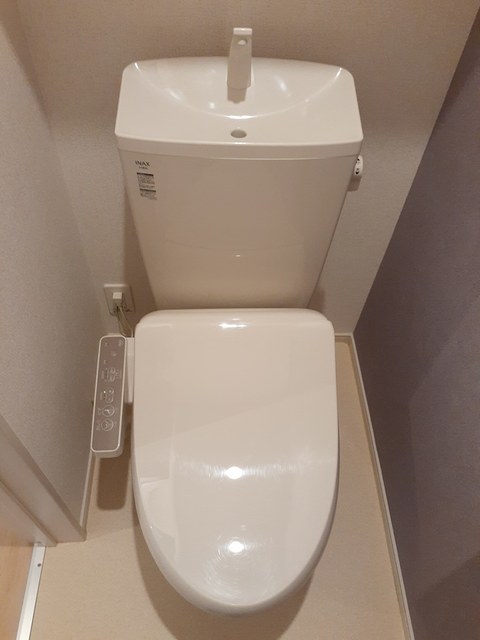 ステラ　ルクス その他2