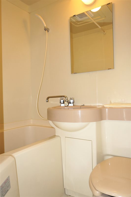 パレス菅沼 その他1