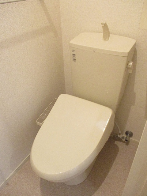 Ｖｉｏｌａ　Ｃ その他1