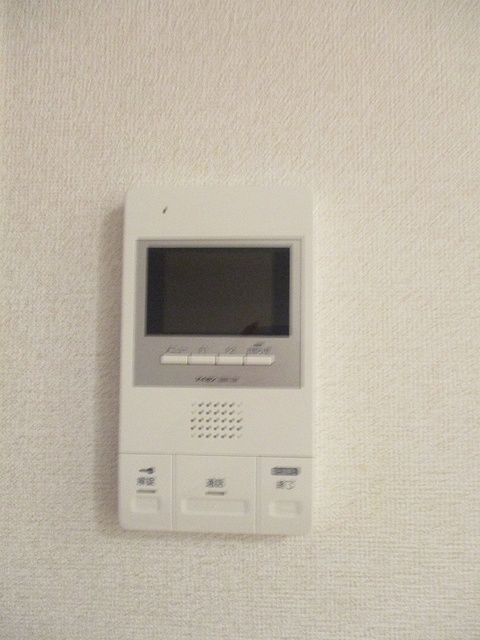Ｖｉｏｌａ　Ｃ その他3