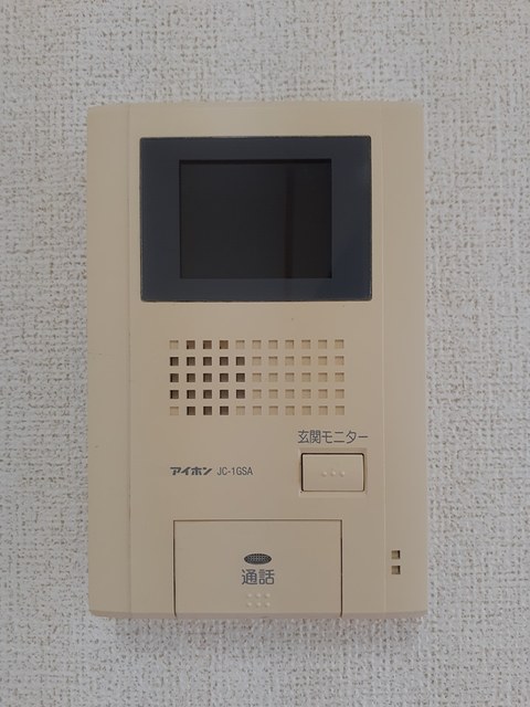 パッションフラワー その他3