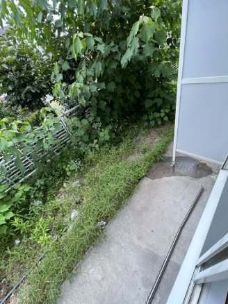 カーサコリーナ高丘 ベランダ