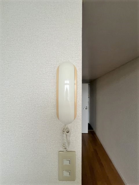 Beryl2 その他4