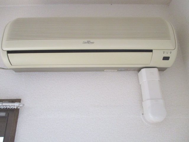 ソフィー その他1
