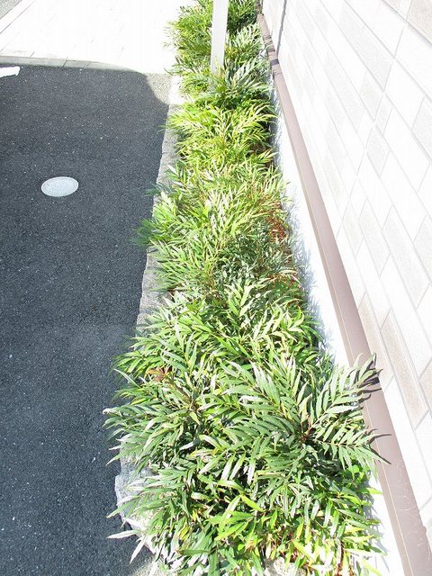 シーダーヴィレッジ その他8