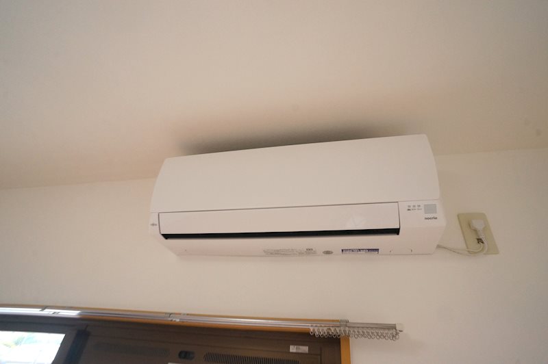 ウインディ・レイ その他4