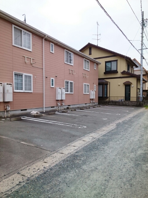 カメリア その他6