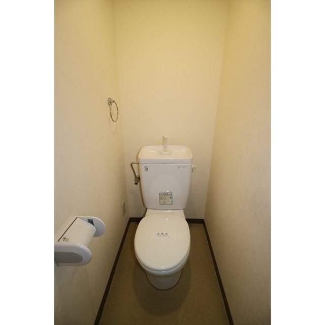 コスモスＡ その他1